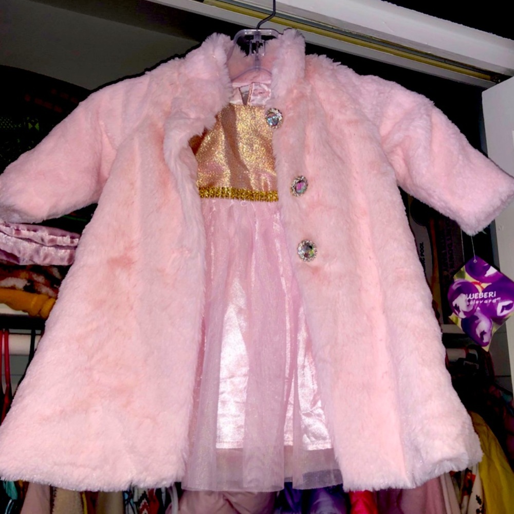 BlueBeri Boulvard 18 month Dress